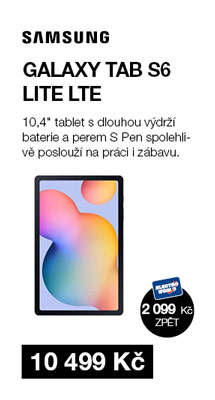 Samsung Galaxy Tab S6 Lite LTE (SM-P619NZAAXEZ)