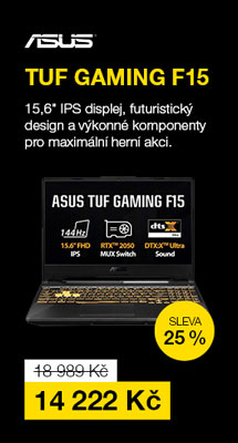 ASUS TUF Gaming F15 FX506HF-HN001W černý