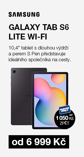 Samsung Galaxy Tab S6 Lite Wi-Fi (SM-P613NZAAXEZ)